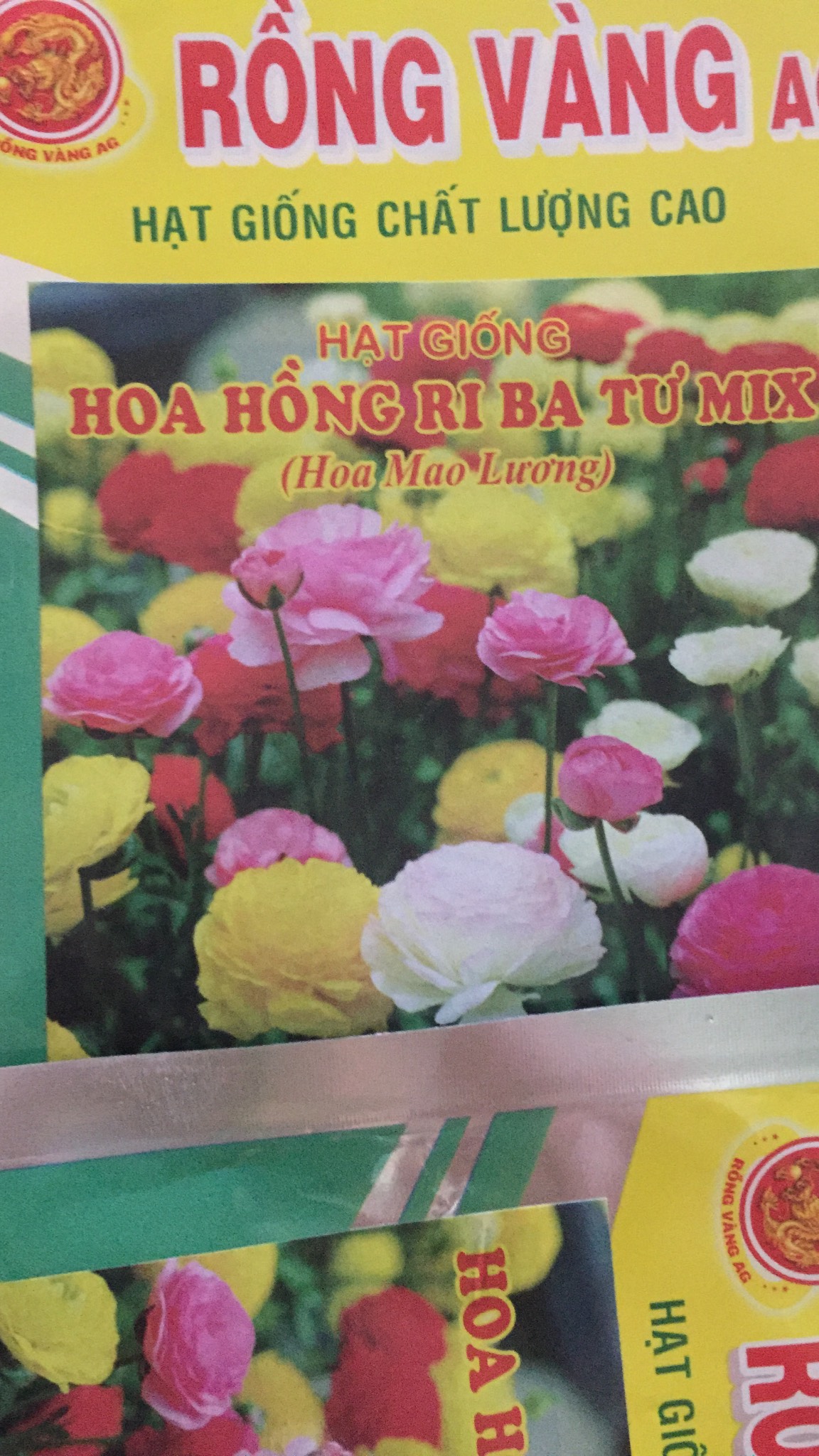 [Có sẵn] [Ảnh thật] Hoa Hồng Ri Ba Tư Mix 10 hạt RV