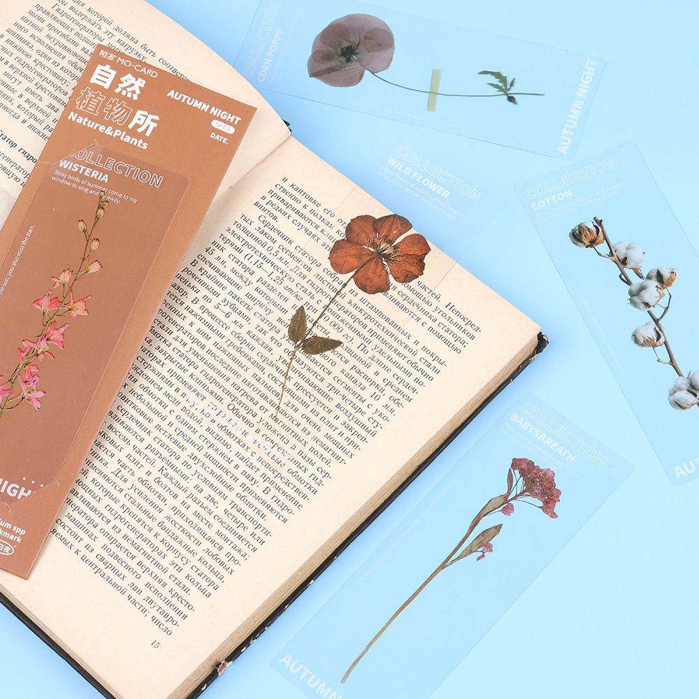 PISTA Set 5 Thẻ Đánh Dấu Trang Sách Hình Cây Tự Nhiên
