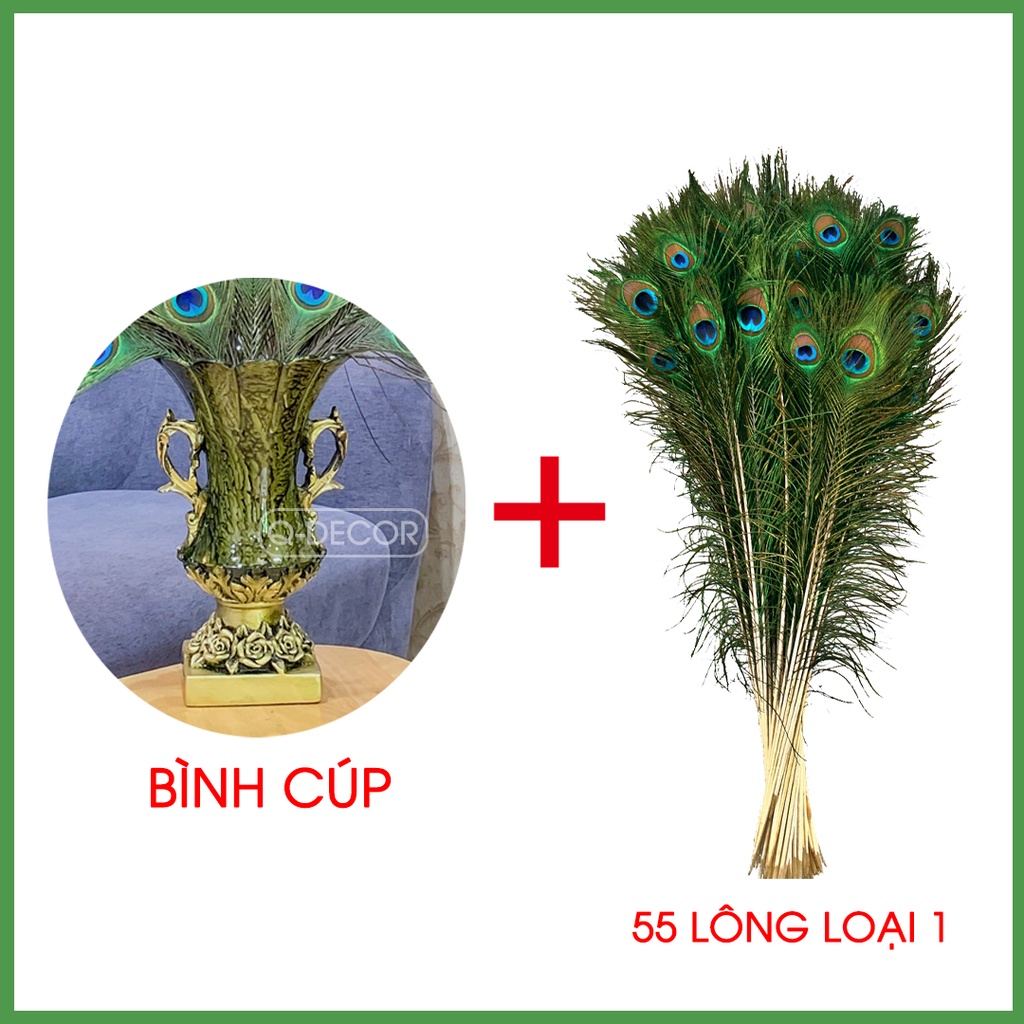 Bình cắm lông công Q Decor hình cúp và 55 cành lông công phong thủy mắt to 4-6cm