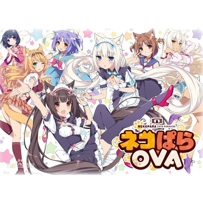 Aocolat - NEKOPARA Vol.1 Soleil Opened! Mô Hình Nhân Vật Hoạt Hình 3D 1/4 23 cm Bằng PVC