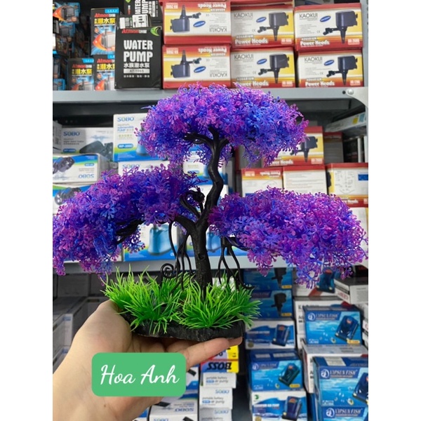 Cây nhựa dáng Bonsai - trang trí bể cá cực đẹp