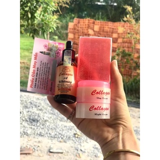 Kem collagen plus vit e (4món)