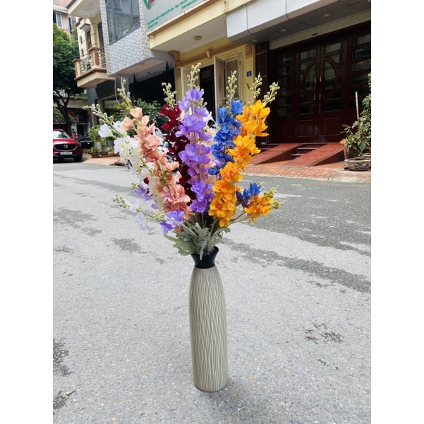 Hoa phi yến kép