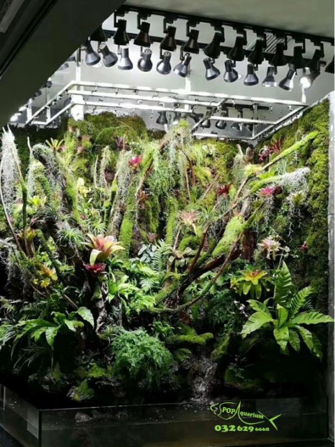 Bộ đèn rọi chuyên dụng cho bể bán cạn