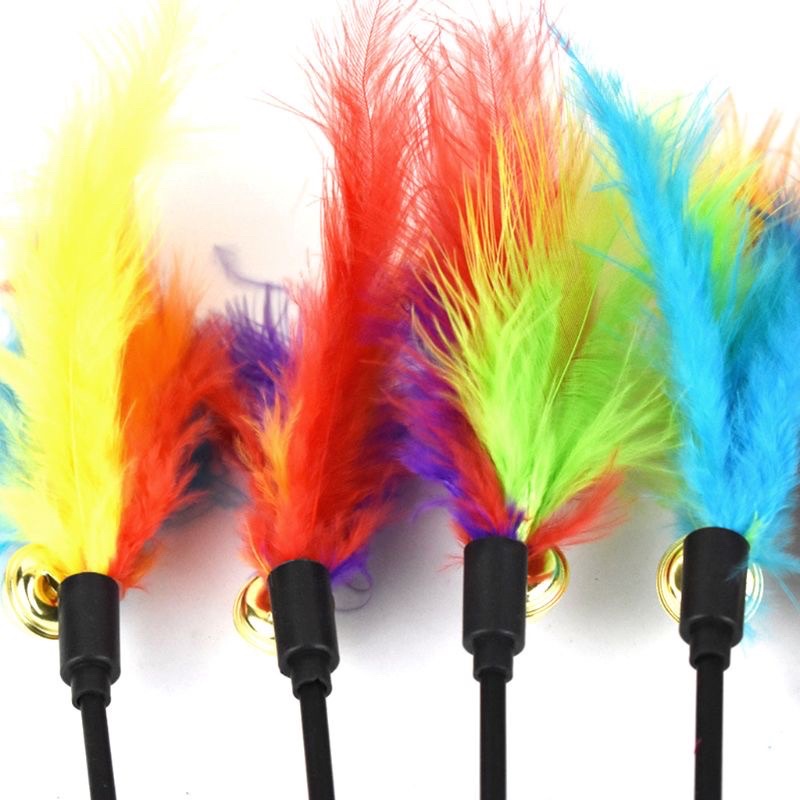 Gậy đồ chơi cần câu mèo gắn lông vũ kèm chuông nhiều màu vui nhộn dành cho chó mèo cưng - Đảo chó mèo Official