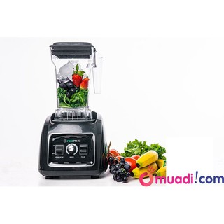 Máy xay sinh tố công nghiệp PROMIX PM–819B