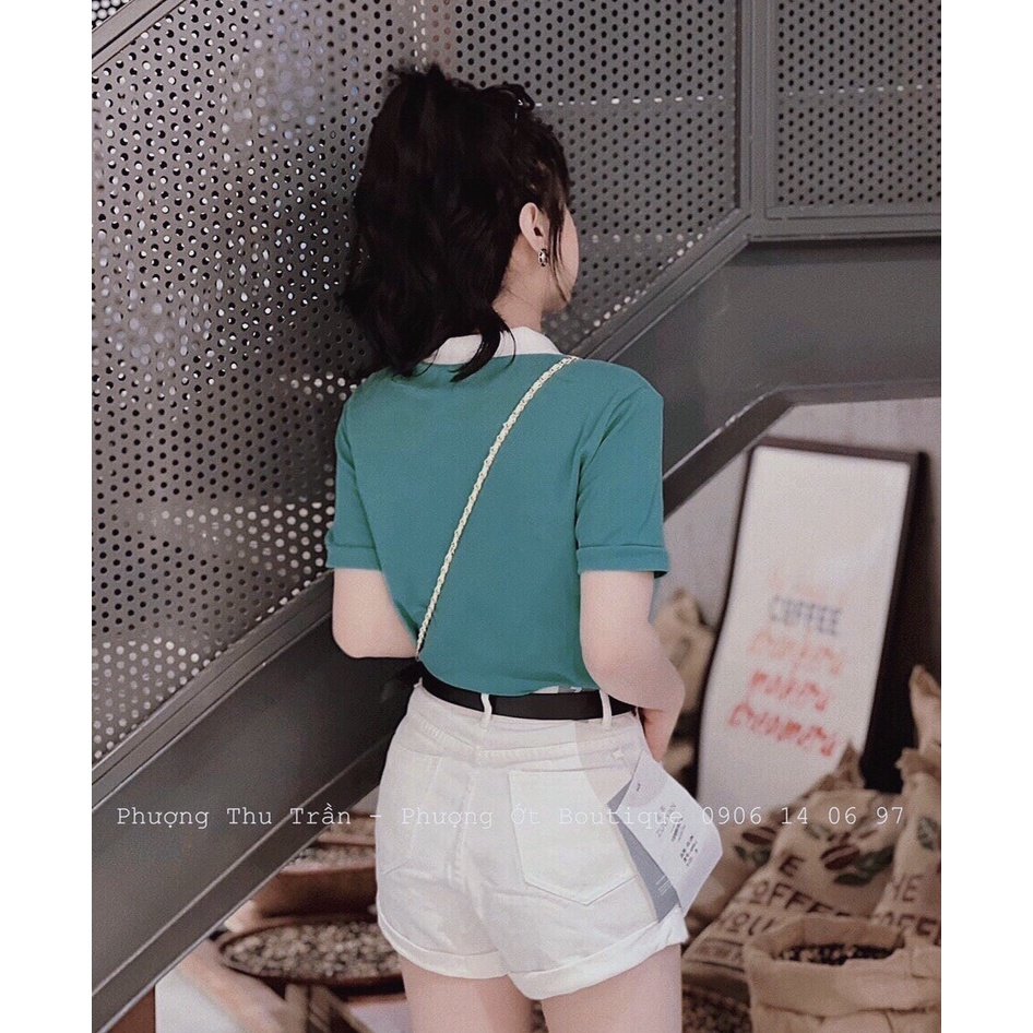 Áo thun polo Lacoste trắng kẻ xanh unisex nam nữ chất cotton cá sấu đẹp