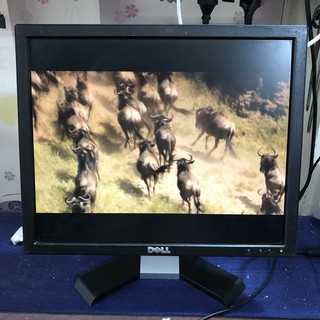 Màn hình máy tính LCD Dell E1715 - 17 inch