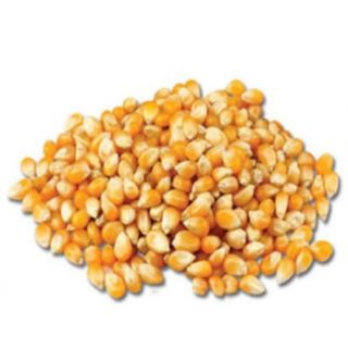 Ngô nổ bắp rang bơ 1kg