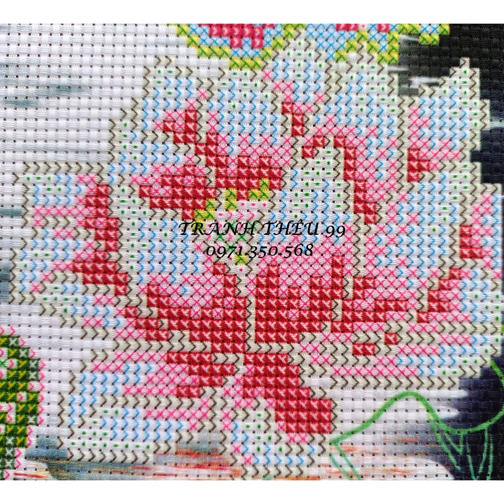 Tranh thêu chữ thập cá chép hóa rồng LV3535-43x75cm