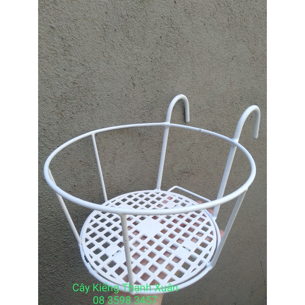 Giỏ treo chậu hoa - Giỏ  treo Chậu hoa ban công - Giỏ sắt treo chậu cây cứng cáp, R 22cm, R đáy 18cm