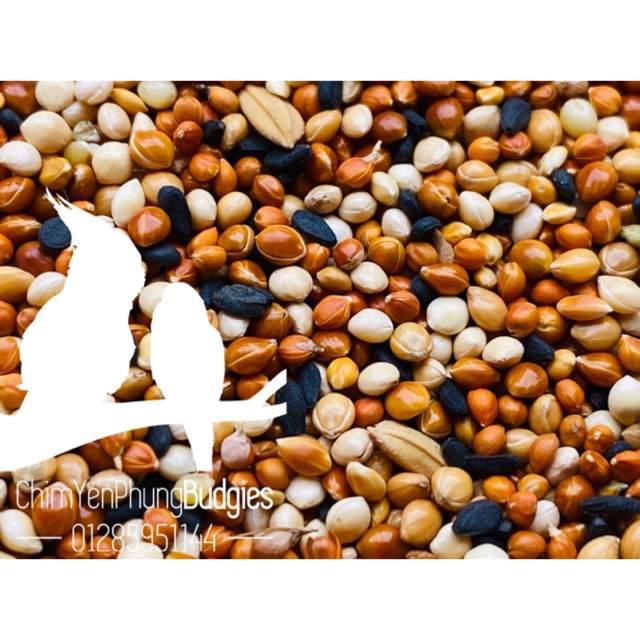 2kg thức ăn hạt hỗn hợp cho chim Yến Phụng (Vẹt HongKong) và Chim Cảnh nhỏ.