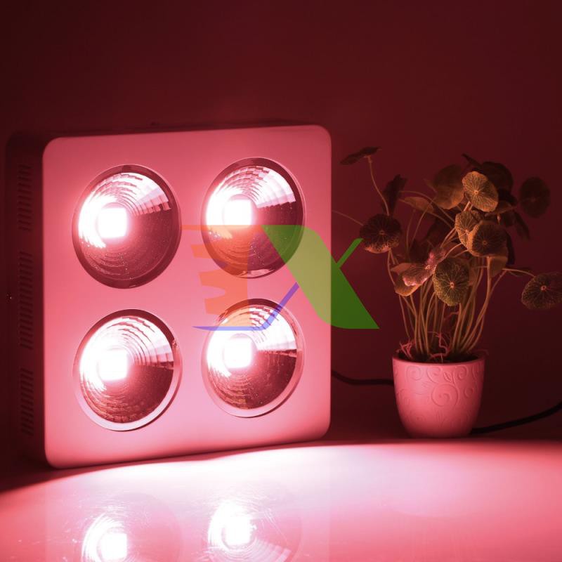 Đèn Led trồng cây trong nhà đủ phổ COB-4, Đèn trồng cây chuyên dụng Led grow light