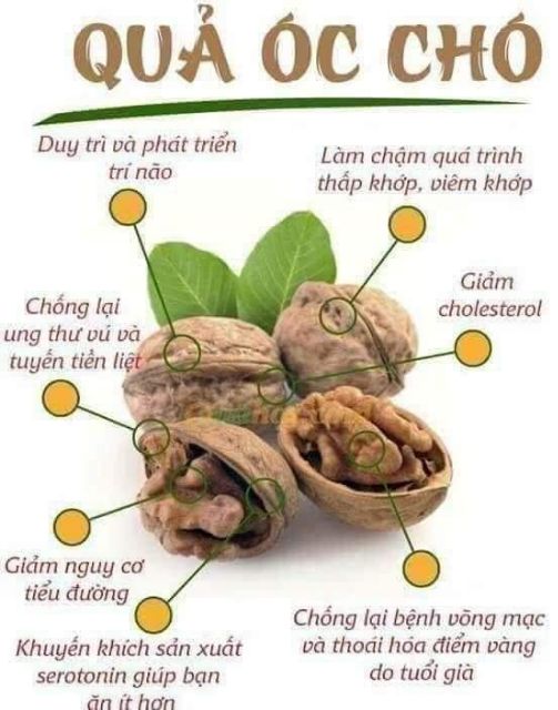 500g óc chó - hạnh nhân - mắc ca - bột cacao nguyên chất Đắk Lắc.