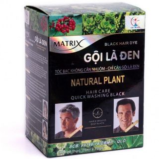 GỘI LÀ ĐEN MATRIX gói 25 ml