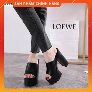 [xa] [Hàng ORDER] Dép Thời Trang Nữ Cao 15  phân hàng nhập Cao Cấp -p01