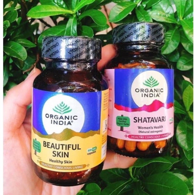 Viên uống Shatavari Organic India 60 viên