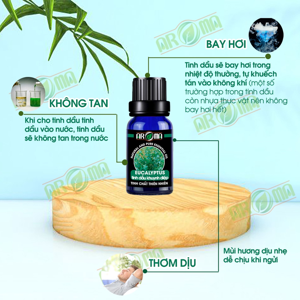 Tinh dầu Khuynh diệp Eucalyptus AROMA, tinh dầu thơm phòng, thông mũi, khử mùi