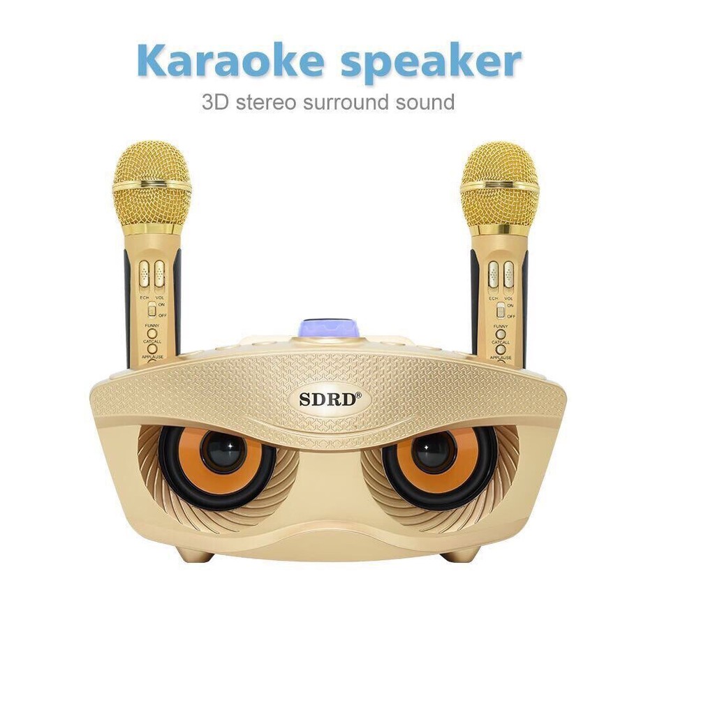 Loa Karaoke SD-306. 2 Mic