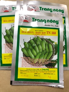 Dưa leo Baby (tự thụ phấn)