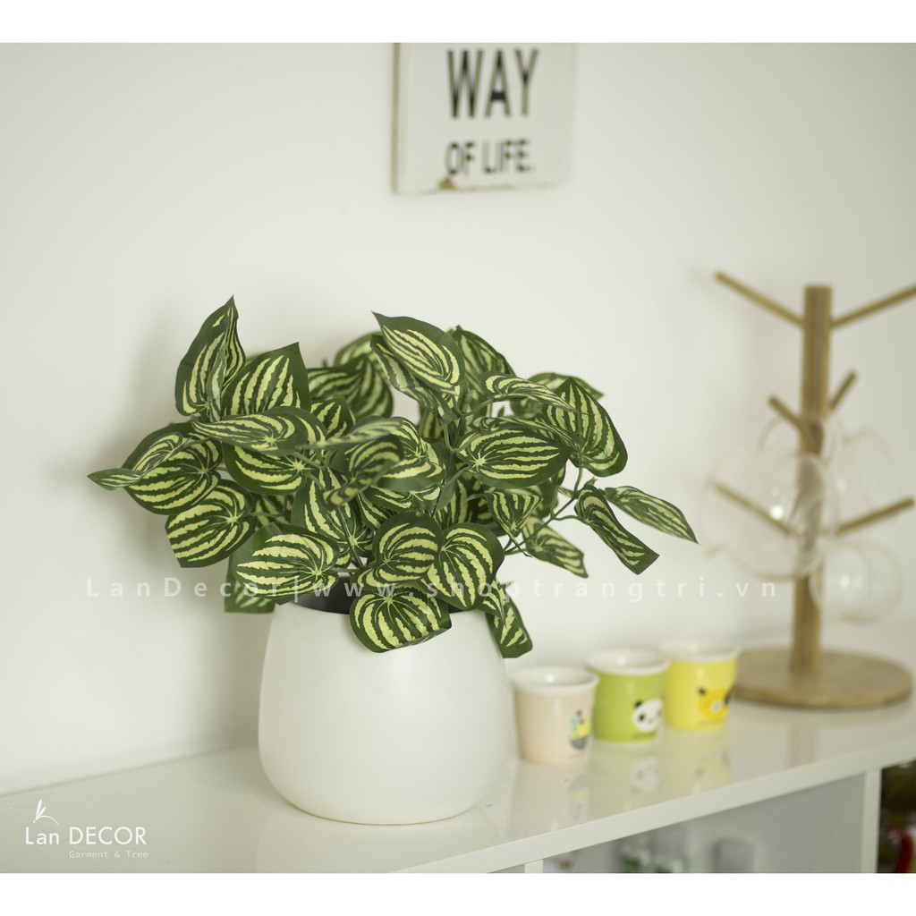 Cây giả - Cây lá sọc dưa hấu  để bàn, trang trí nhà LanDecor - LC045