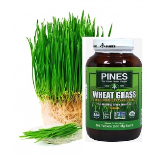Viên nước ép cỏ lúa mì hữu cơ Pines.