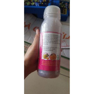 gel lớn Mít quả cầu lửa 500ml
