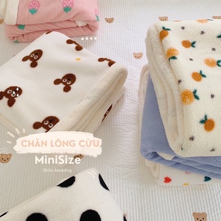 CHĂN LÔNG CỪU MINI SIZE