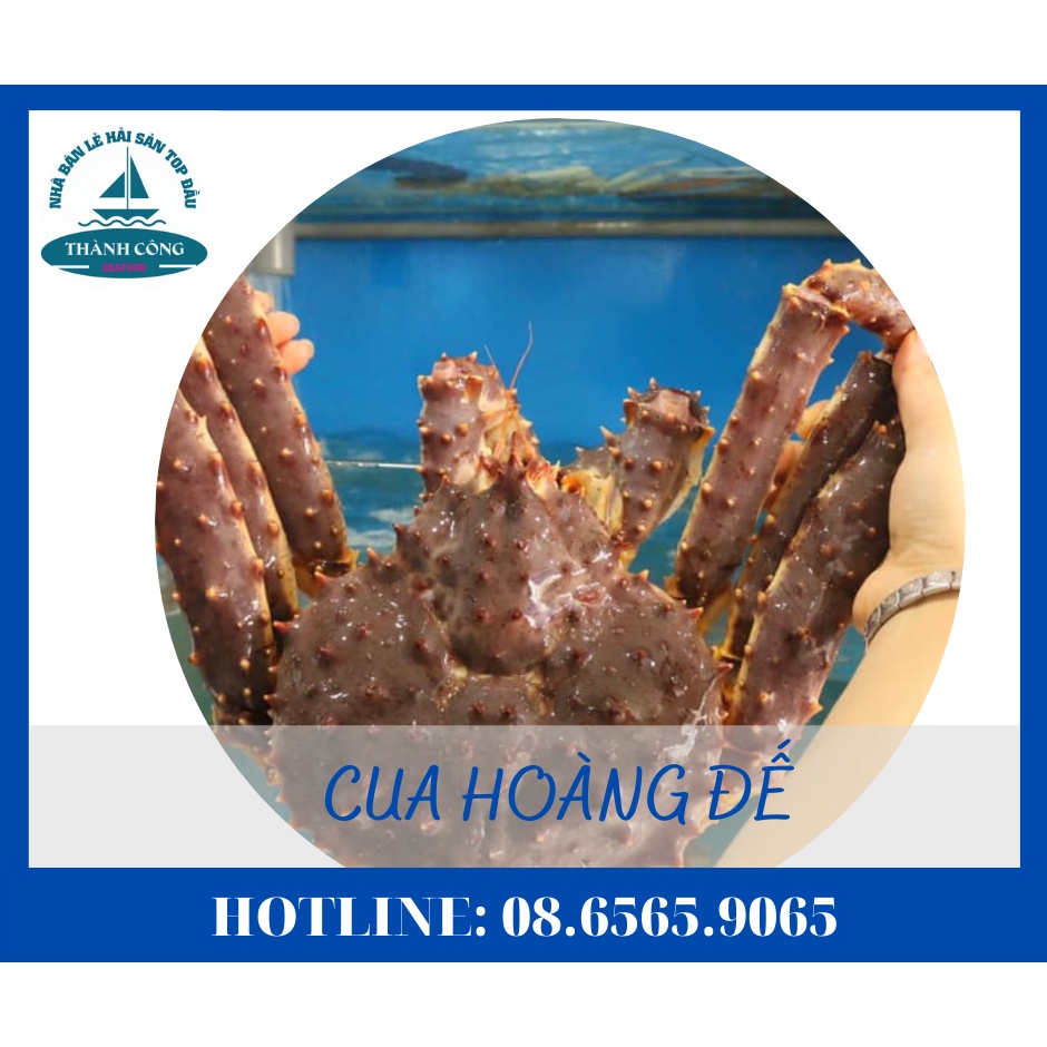 Cua HOÀNG ĐẾ nhập khấu siêu to  Giao nhanh trong 2h, Bao tươi sống