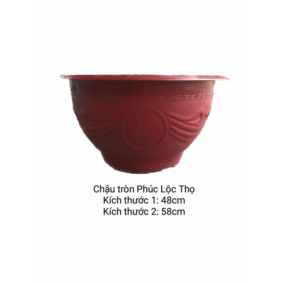 Chậu Không Khoan Lỗ phi T48 CM chậu trồng sen nước, trồng hoa súng