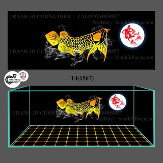 TRanh 3D dán bể cá cảnh _ Cường Điện