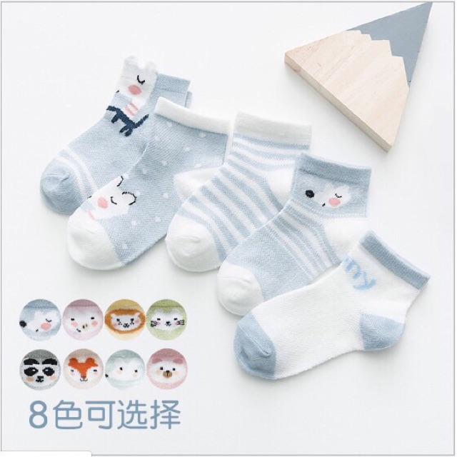 Combo 5 đôi tất siêu mềm cho bé