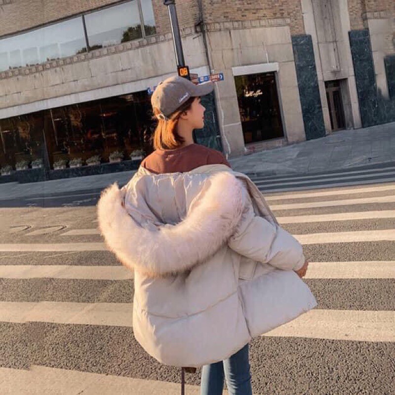 Áo khoác phao mũ lông hotred  qccc .