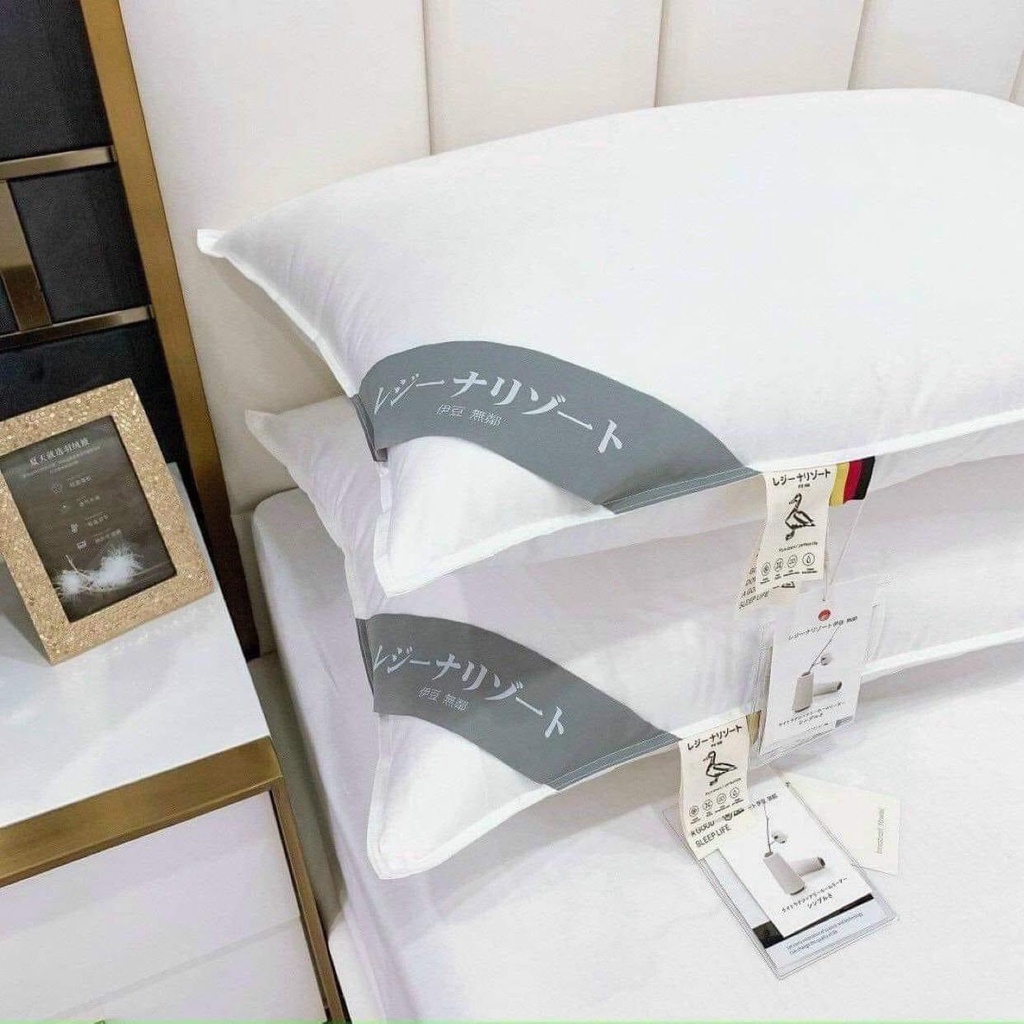 SÉT 2 RUỘT GỐI LÔNG VŨ KHÁNG KHUẨN  JAPAN