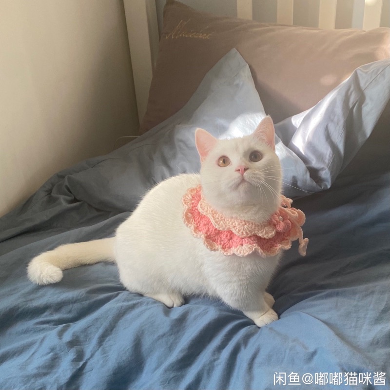 Yếm len handmade cho mèo,cún,thỏ,...