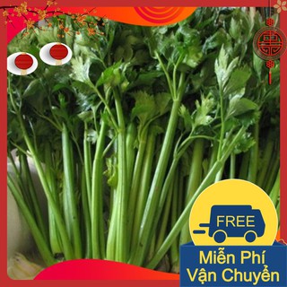 Combo 3 Gói Hạt Giống Rau Cần Tây