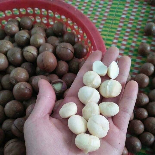 Macca Lâm Đồng-500g