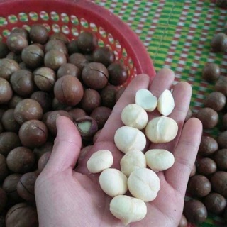 Macca lâm đồng-500g