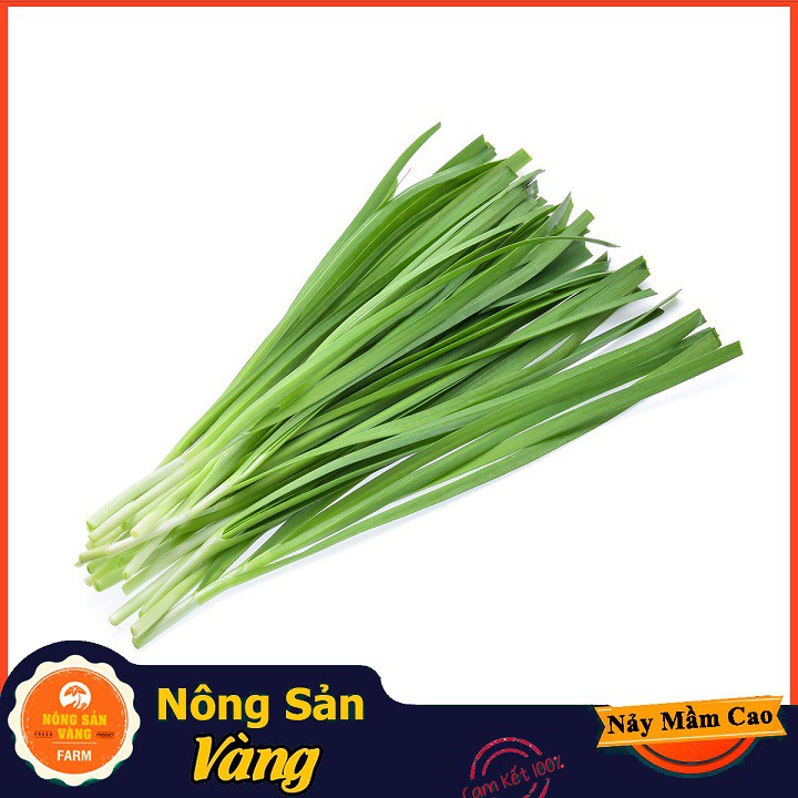 Hạt giống Rau Hẹ Ta ( Gói 1 Gram ) - Nông Sản Vàng