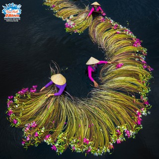 HCM [E-voucher] Tour du lịch Mỹ Tho - Bến Tre - du lịch miền Tây - du lịch sông nước