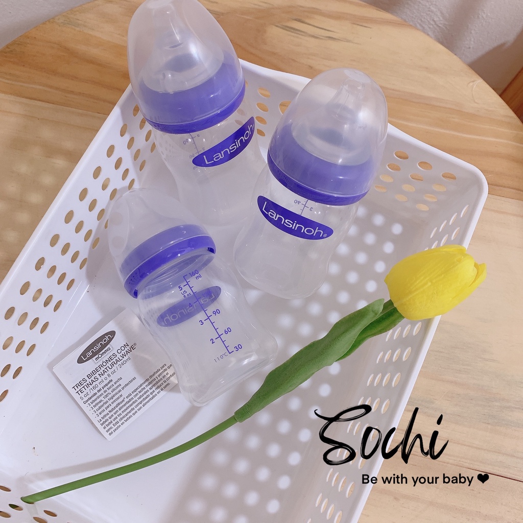 Bình sữa Lansinoh chính hãng dung tích 160ml/240ml
