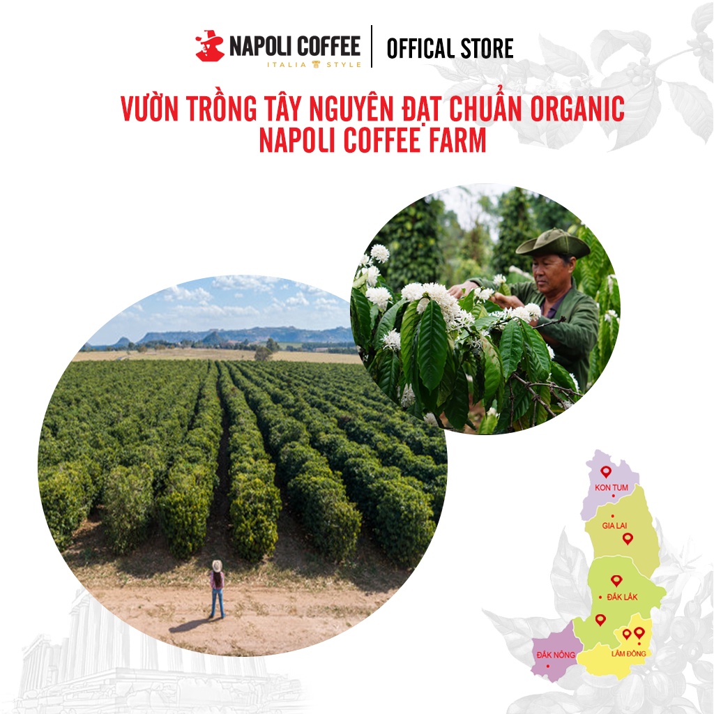 Cà Phê Nguyên Chất 3in1 Sữa Nóng Napoli Coffee 18 gói x 16g -Hạt Robusta/Arabica HỘP LỚN