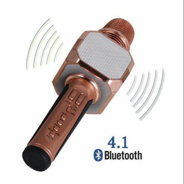 Mic hat kèm loa bluetooth