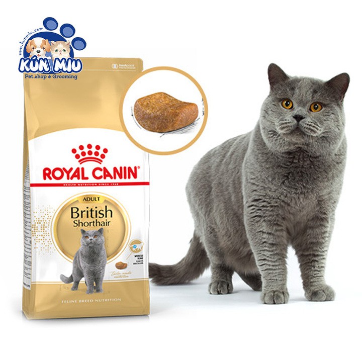 Thức ăn cho mèo anh lông ngắn trưởng thành Royal Canin British Shorthair Adult túi 2kg