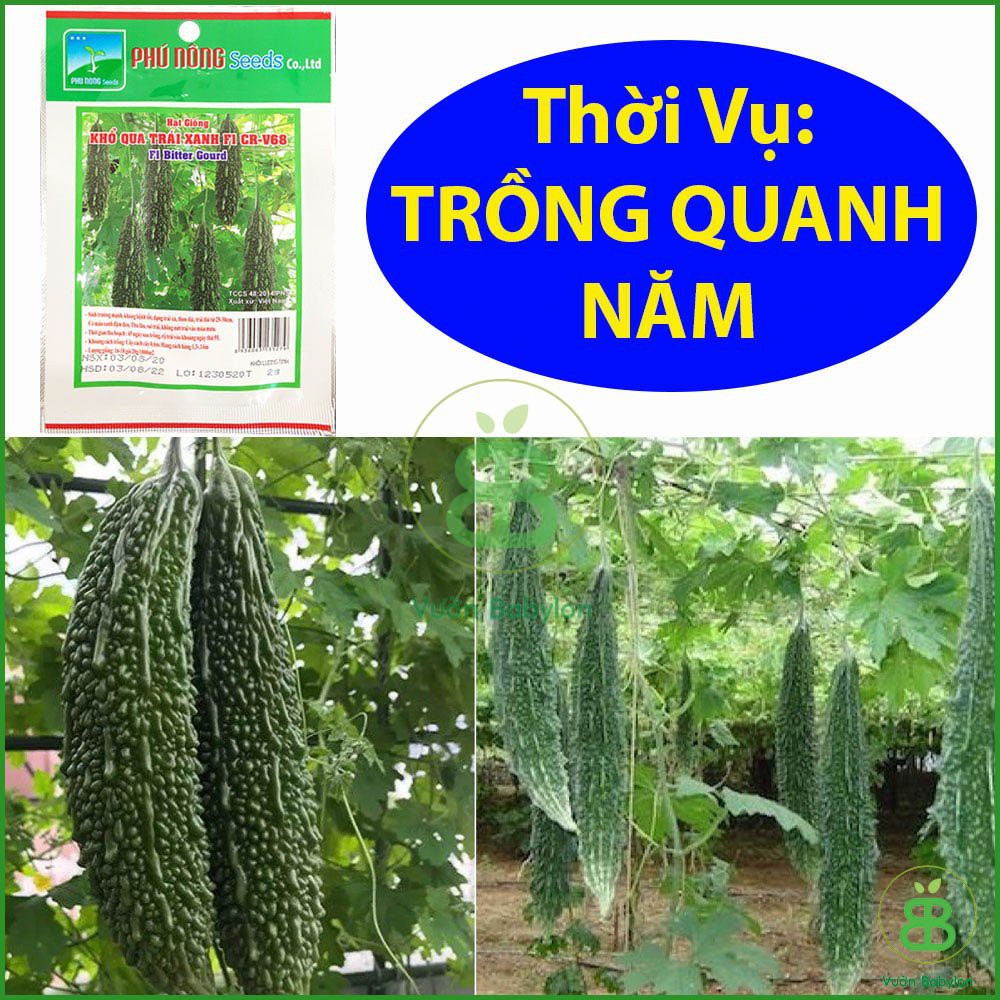 Hạt Giống Mướp Đắng 2Gr - Hạt Giống Khổ Qua Xanh Cao Sản, Siêu Trái