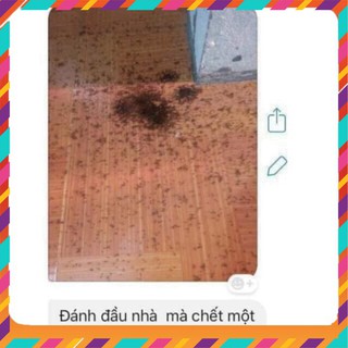 Diệt kiến-gián sinh học an toàn hàng Việt Nam, cực hiệu quả