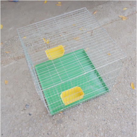 Lồng nuôi chim gà thỏ mèo  50*50*50 đẩy đủ phụ kiện