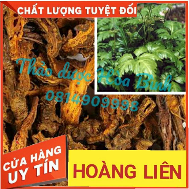 100g Hoàng Liên loại I nguyên chất