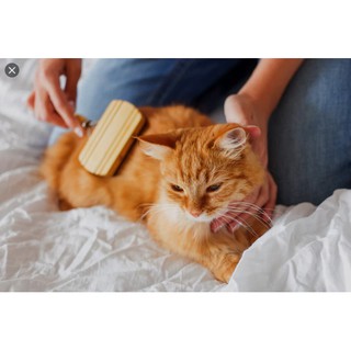 Lược Chải Lông Răng Lược Chó Mèo