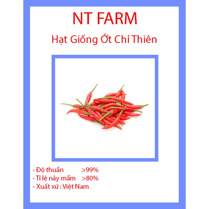 Hạt Giống Ớt Chỉ Thiên Siêu Cay